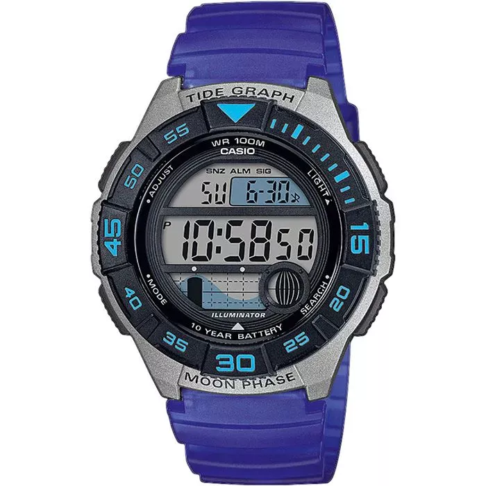 Наручные часы  Casio Collection WS-1100H-2A 