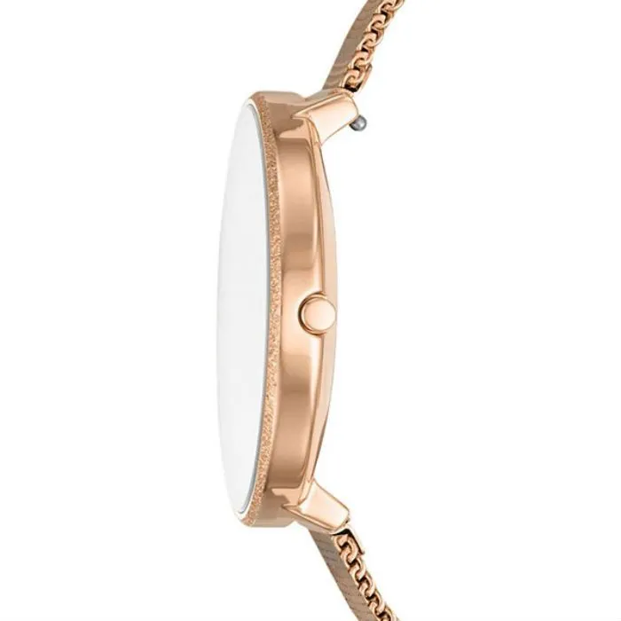 Skagen SKW2726  Фото 2