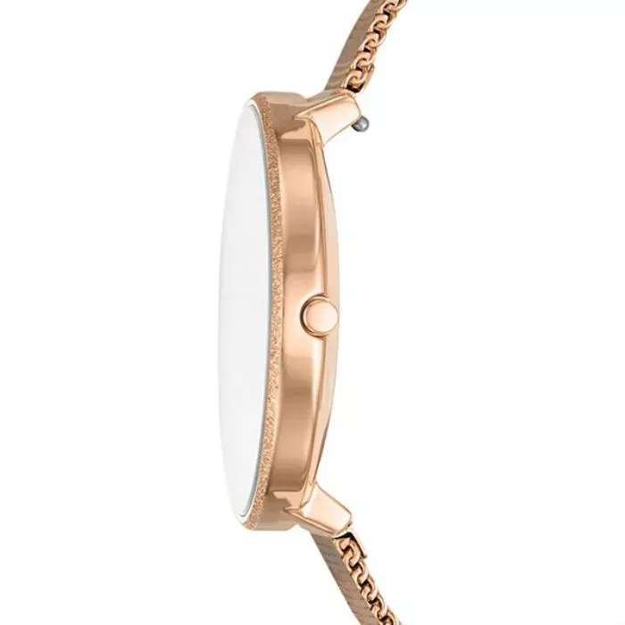 Skagen SKW2726  Фото 2