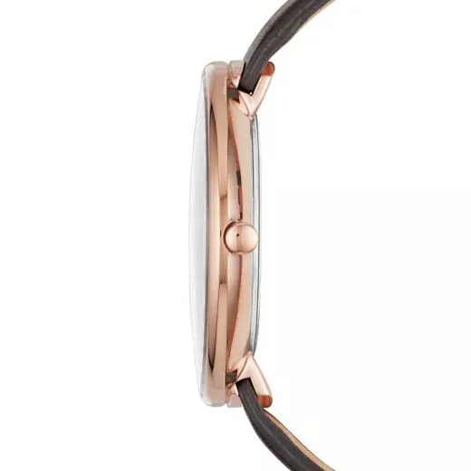 Skagen SKW2613  Фото 2