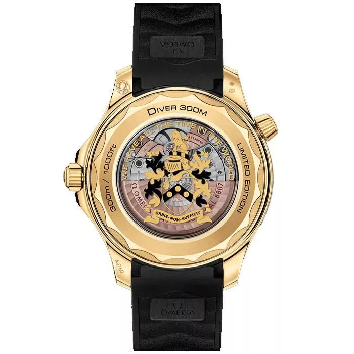 Omega 210.62.42.20.01.001 ( + 210.22.42.20.01.003)  Фото 4