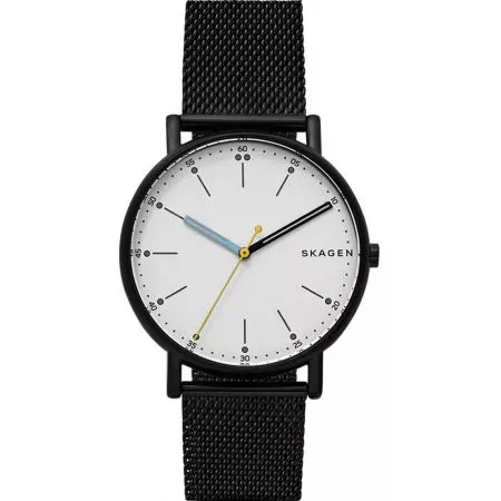 Наручные часы  Skagen SKW6376  Фото 1