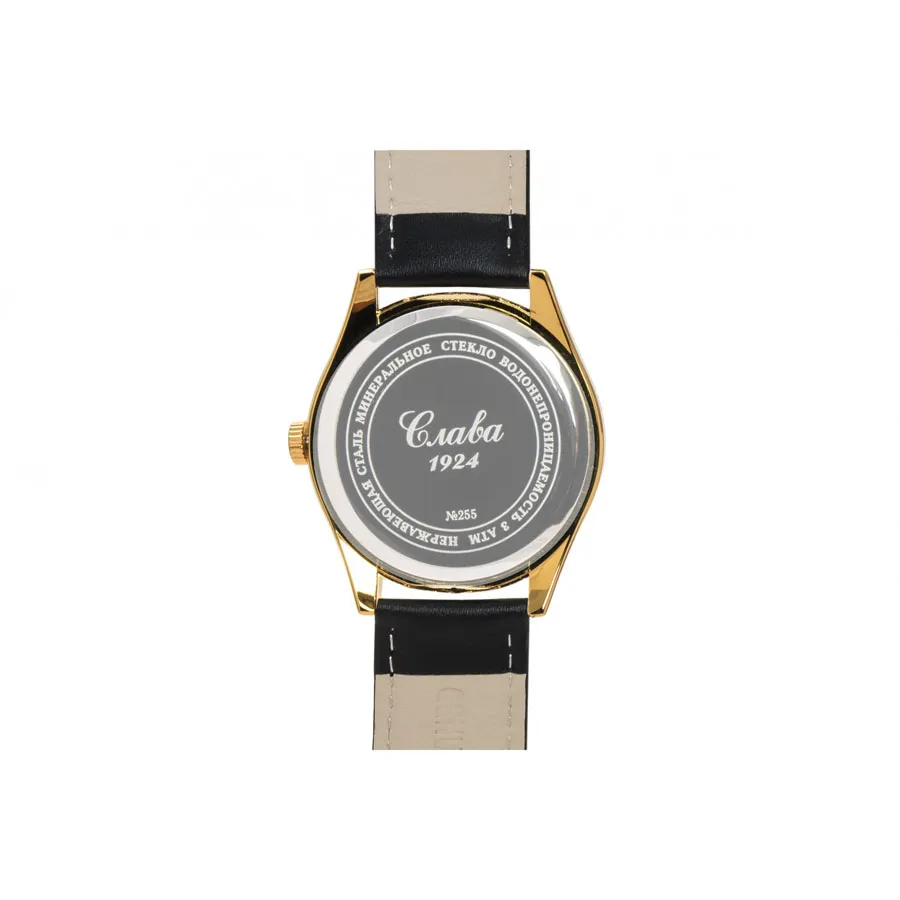 Слава 2559612/300-2035  Фото 3