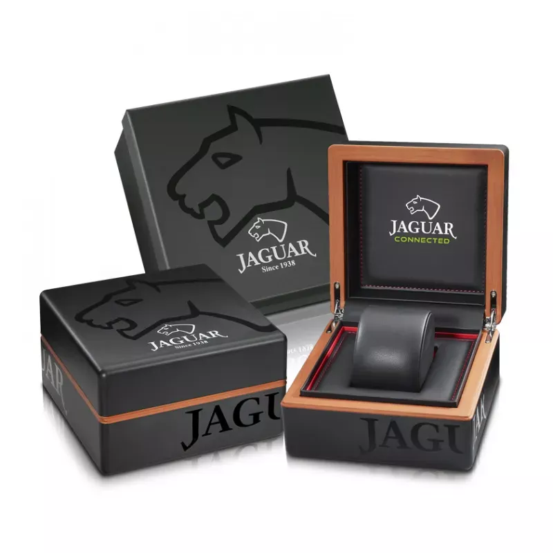 Jaguar J862/3  Фото 3