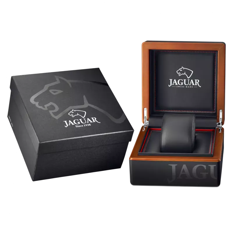 Jaguar J958/2  Фото 2