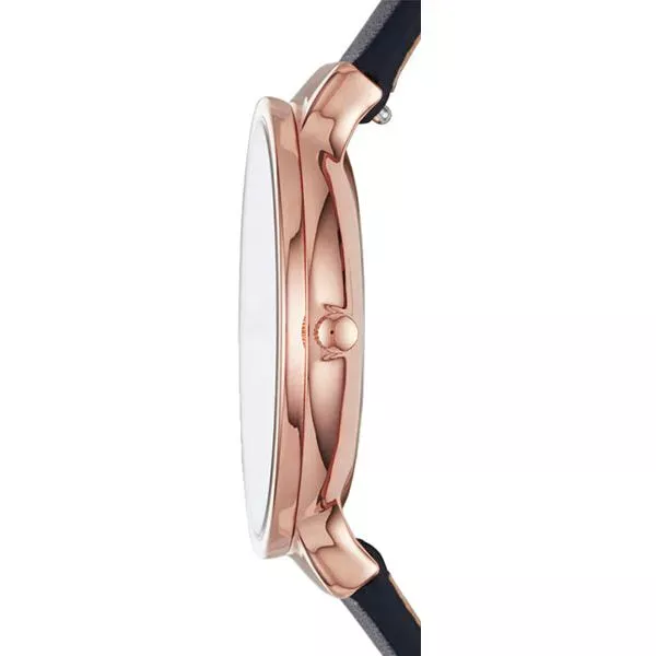 Skagen SKW2608  Фото 2