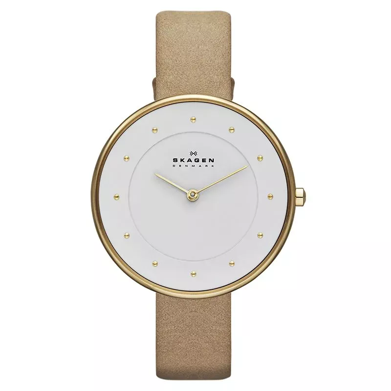 Наручные часы  Skagen SKW2137  Фото 1