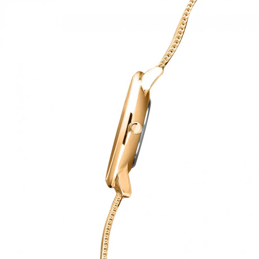 Слава 1729984/2035-100  Фото 4