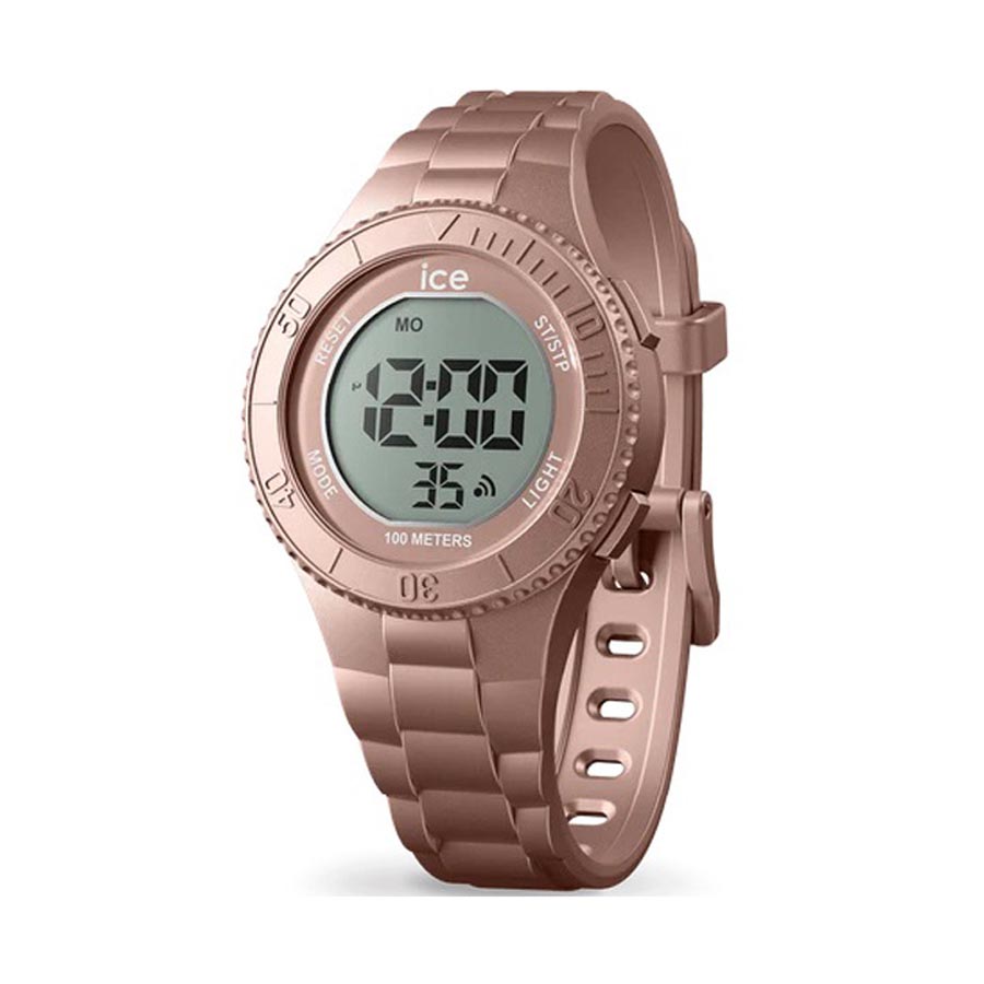 Ice Watch 021621 