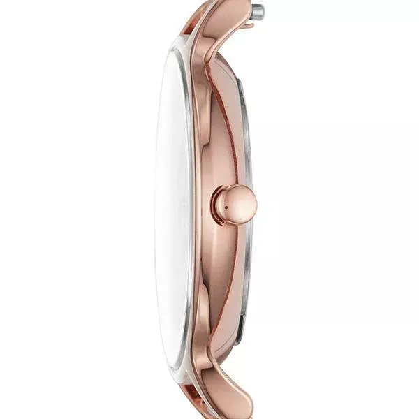 Наручные часы  Skagen SKW2650  Фото 2