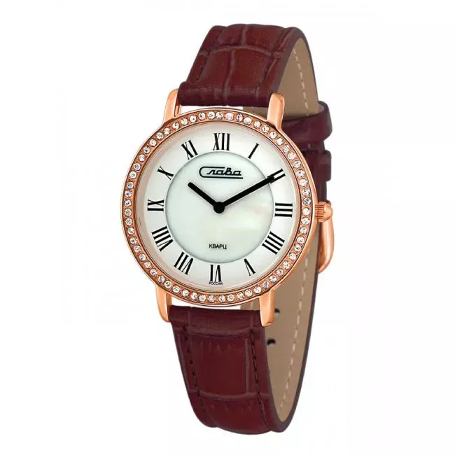 Слава 6239485/2025  Фото 1