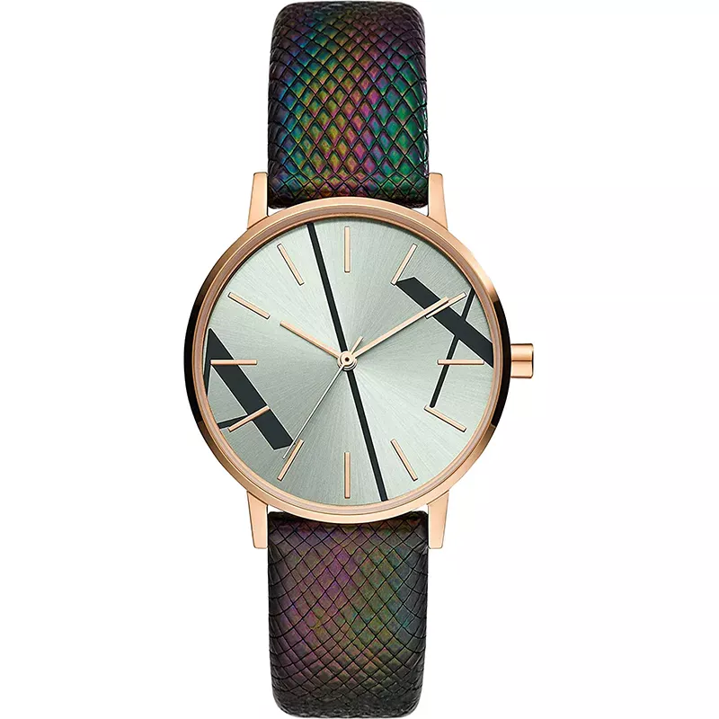 Armani Exchange AX5570 