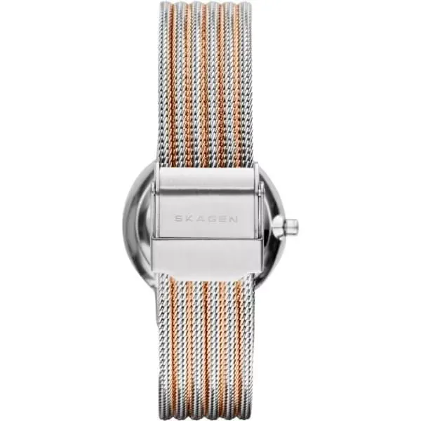 Наручные часы  Skagen 355SSRS  Фото 4