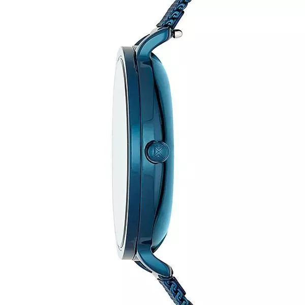 Наручные часы  Skagen SKW2579  Фото 2