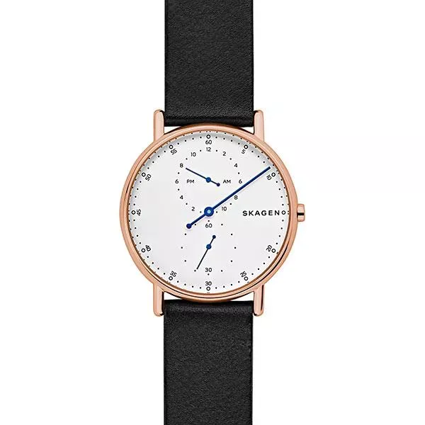 Наручные часы  Skagen SKW6390  Фото 1