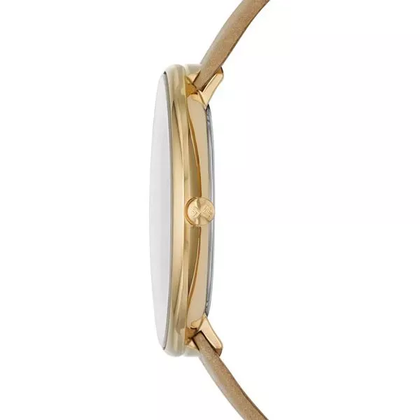 Наручные часы  Skagen SKW2137  Фото 3