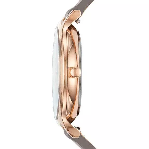 Наручные часы  Skagen SKW2672  Фото 2