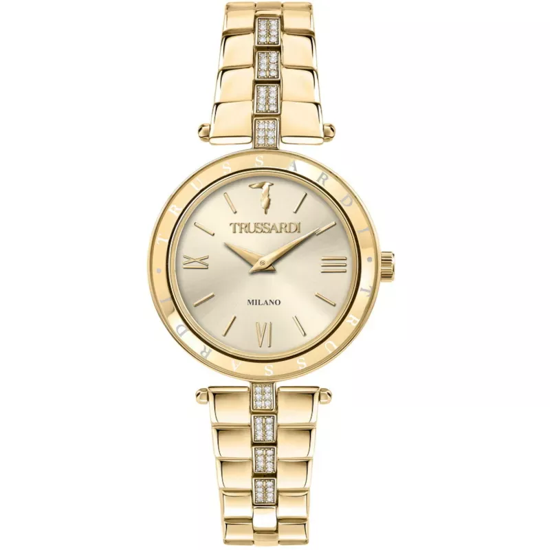 Наручные часы  Trussardi R2453145508 