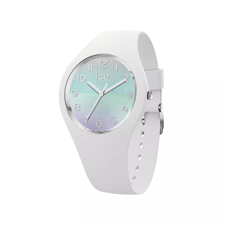 Ice Watch 021356 